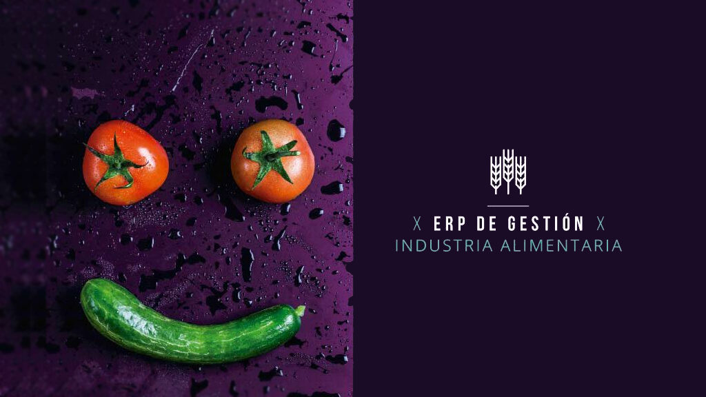 ERP de gestión para la Industria Alimentaria Galdón Software