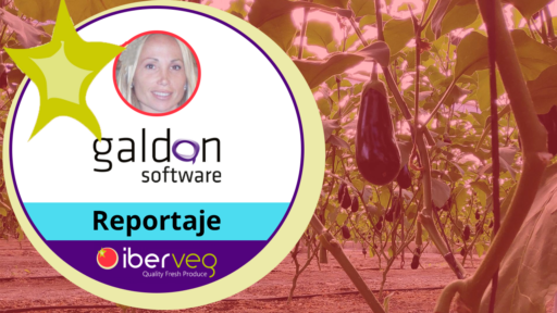 ERP hortofrutícola con trazabilidad por lote y palets mixtos — Caso de éxito Iberveg y Galdón Software