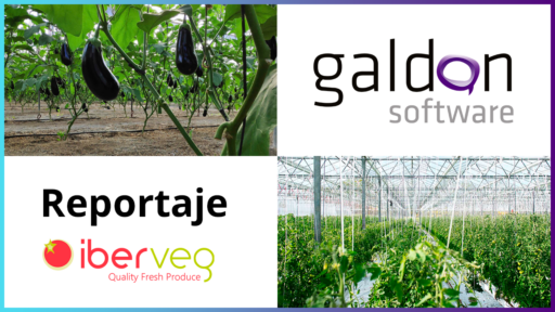 Portada del caso de éxito de software de gestión hortofrutícola de Galdón Software e Iberveg.